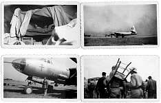 Small pictures 5.jpg